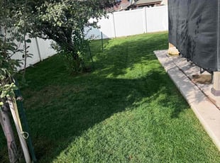 Laura C.'s Yard Cutting service result