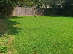 Julie B.'s Yard Cutting service result