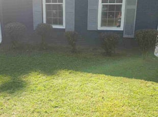 Bush Trimming by Crystal Murillo for Barbara S. in Conyers, GA