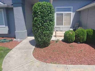 Bush Trimming by Delbert Jones for Constance C. in Meridian, ID