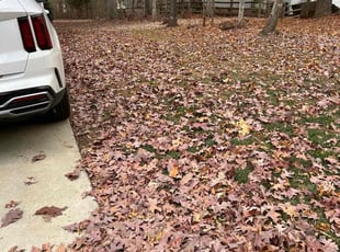 Leaf Removal by Claude Batts for Genea B. in Charlotte, NC
