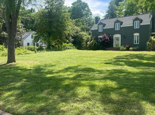 Rachel P.'s Lawn Care service result