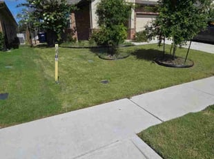 Namjun s.'s Lawn Mowing Service service result