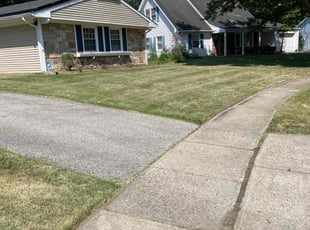 TERRY W.'s Lawn Service service result