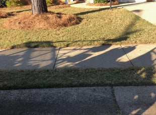 Leaf Removal by Louis Sampson for Jeff L. in Marietta, GA