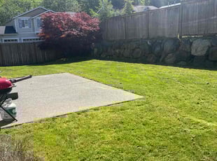 Jasmine T.'s Lawn Care service result