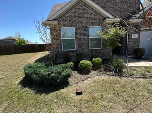 Bush Trimming by Abel Baeza for Mark T. in Princeton, TX