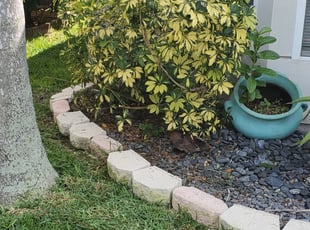 Bush Trimming by Leandro Lobo for K. Camille G. in Orlando, FL