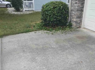 Bush Trimming by Karushoun Kelly for Antwan L. in Atlanta, GA