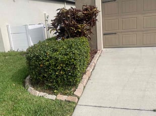 Bush Trimming by Hanif Ibn King for Gentle H. in Lakeland, FL