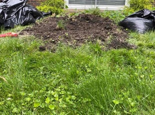 Landscaping by Felix Alejos for Kristin M. in Elmwood Park, IL