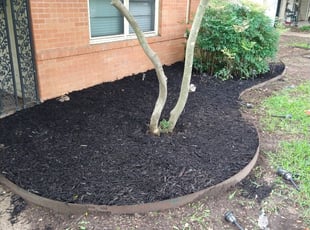 Mulching by Daniel Orozco for Ben P. in Grand Prairie, TX