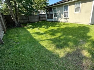 Rafael A.'s Lawn Mowing Service service result