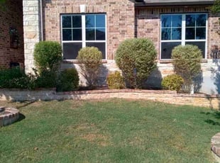 Weeding by Jason Salazar for Tiffany J. in San Antonio, TX