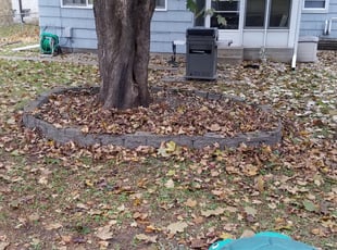 Bruno M.'s Cleanups service result