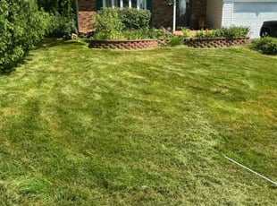 Jeanette S.'s Lawn Maintenance service result