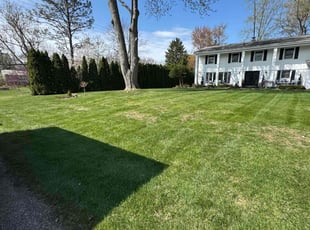 Wanda F.'s Yard Cutting service result