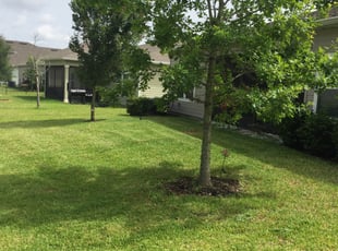 Anthony D.'s Lawn Maintenance service result