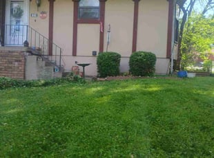 Bush Trimming by Julio Almestica for Karen D. in Blue Springs, MO