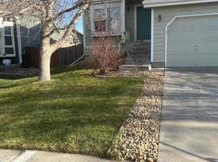 Leaf Removal by Justin Hands for George C. in Parker, CO