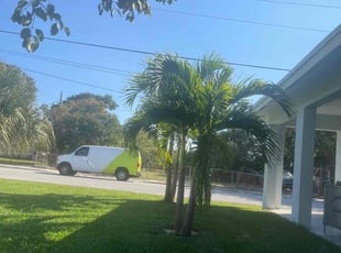 Sean B.'s Grass Cutting service result