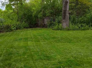 Christie P.'s Lawn Service service result