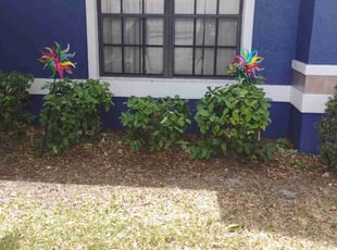 Bush Trimming by Marvel Carmichael for Mariel G. in Longwood, FL