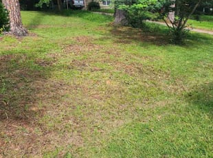 Lori G.'s Cleanups service result