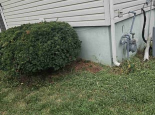Bush Trimming by Ben Gazall for Stacy P. in Kansas City, MO