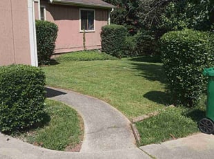 Bush Trimming by Antavious Douglas for Eric D. in Lithonia, GA