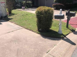 Bush Trimming by Paul Handley for Connie M. in Tulsa, OK