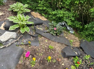 Weeding by Tyler Elias for Gislene R. in Middleborough, MA