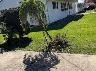 Dioiolisio O.'s Lawn Mowing service result