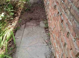 Cleanups by Kevin Rhyne for Ellen J. in Madison, WI