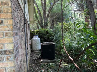 Bush Trimming by Brandon Langworthy for Valerie B. in Tallahassee, FL