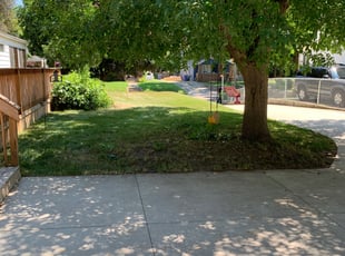 Bush Trimming by Ryan Cooper for Ronald O. in Grand Rapids, MI