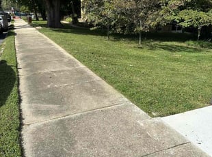 Anthony B.'s Lawn Service service result