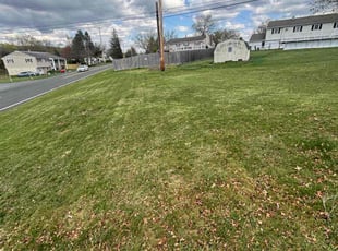 Michael L.'s Lawn Maintenance service result