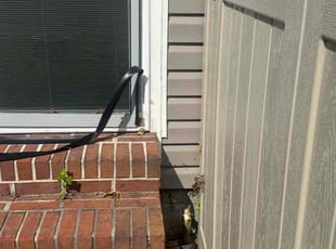 Greg V.'s Bush Trimming service result