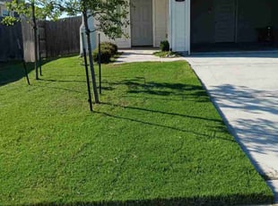 Karen S.'s Lawn Care service result