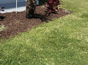 Weeding by Arturo Garcia for Carrie J. in Palm Coast, FL