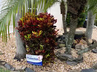 Bush Trimming by Charles Walton for Jessica J. in Lake Worth, FL