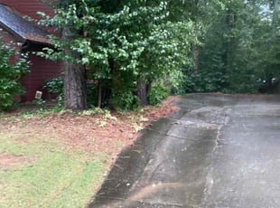 Weeding by Stacey Bryan for Paula N. in Suwanee, GA