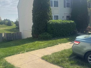 Bush Trimming by Ashley Dawson for Davandra M. in Fredericksburg, VA