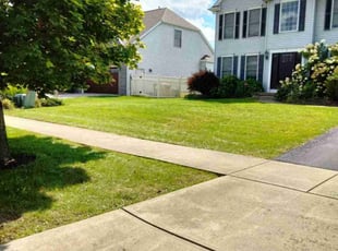 Lindsay H.'s Lawn Care service result