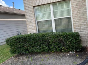 Bush Trimming by Brandon Bowers for Deanna W. in Missouri City, TX