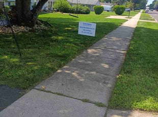 Hillery S.'s Lawn Mowing service result