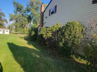 Bush Trimming by Daisy Alinda for Marta J. in Eagleville, PA