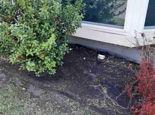 Weeding by Warren Thomas for Emily W. in New Orleans, LA