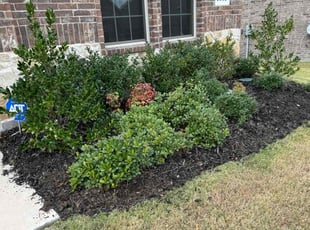 Weeding by Andrea Simpson Perez for Justin T. in Heath, TX